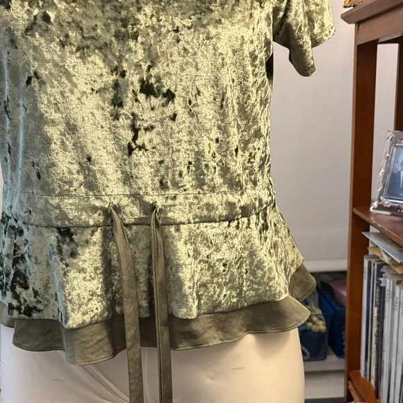 Luxurious Olive Velvet Short Sleeve Top - Picture 6 of 10